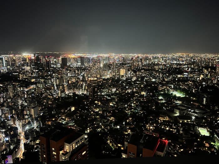 Mori Observation desk 4